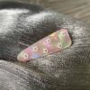 c04 Pink Cone Flower