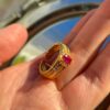 IMG_7072 r05 Golden Ruby
