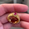 IMG_7078 r05 Golden Ruby