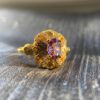 IMG_7141 r12 Purple Gold