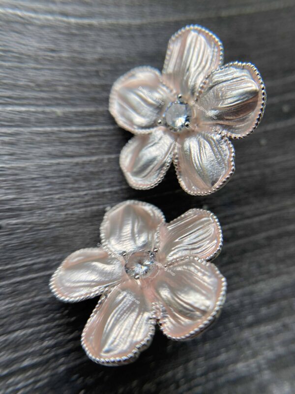 IMG_7213 e05 Rose Silver