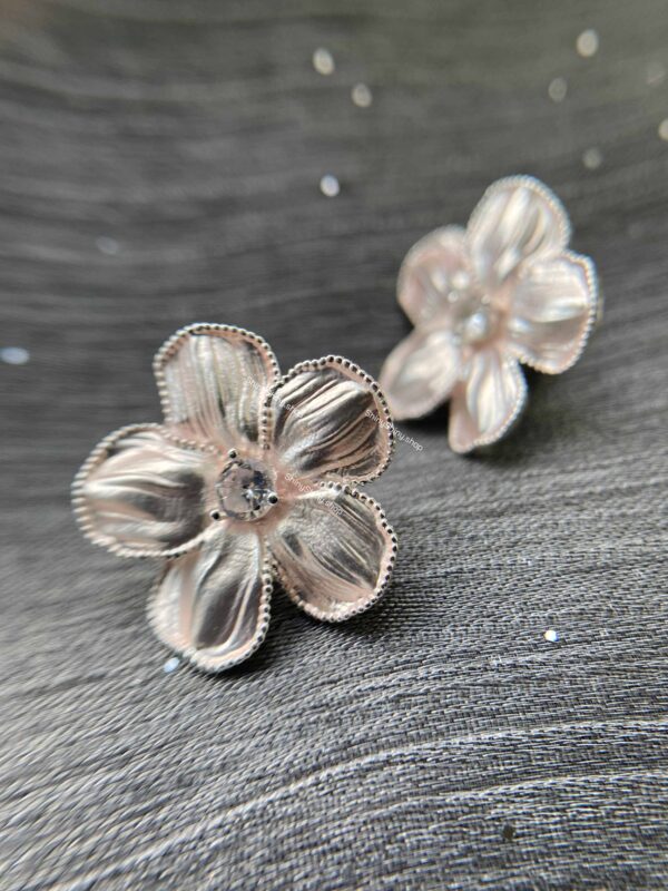IMG_7214 e05 Rose Silver
