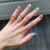 n22 Blue Brown Flower